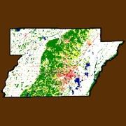 Greene County Land Use