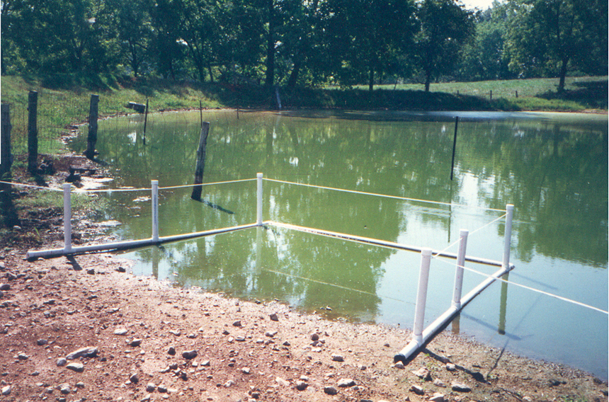 Pond With Cattle Access